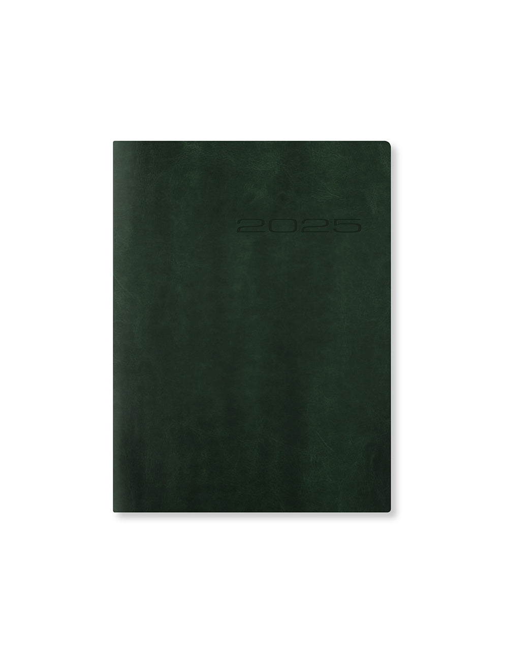 Lecassa A6+ Day to a Page Diary with Appointments 2025 - Multilanguage  25-081742#colour_british-racing-green