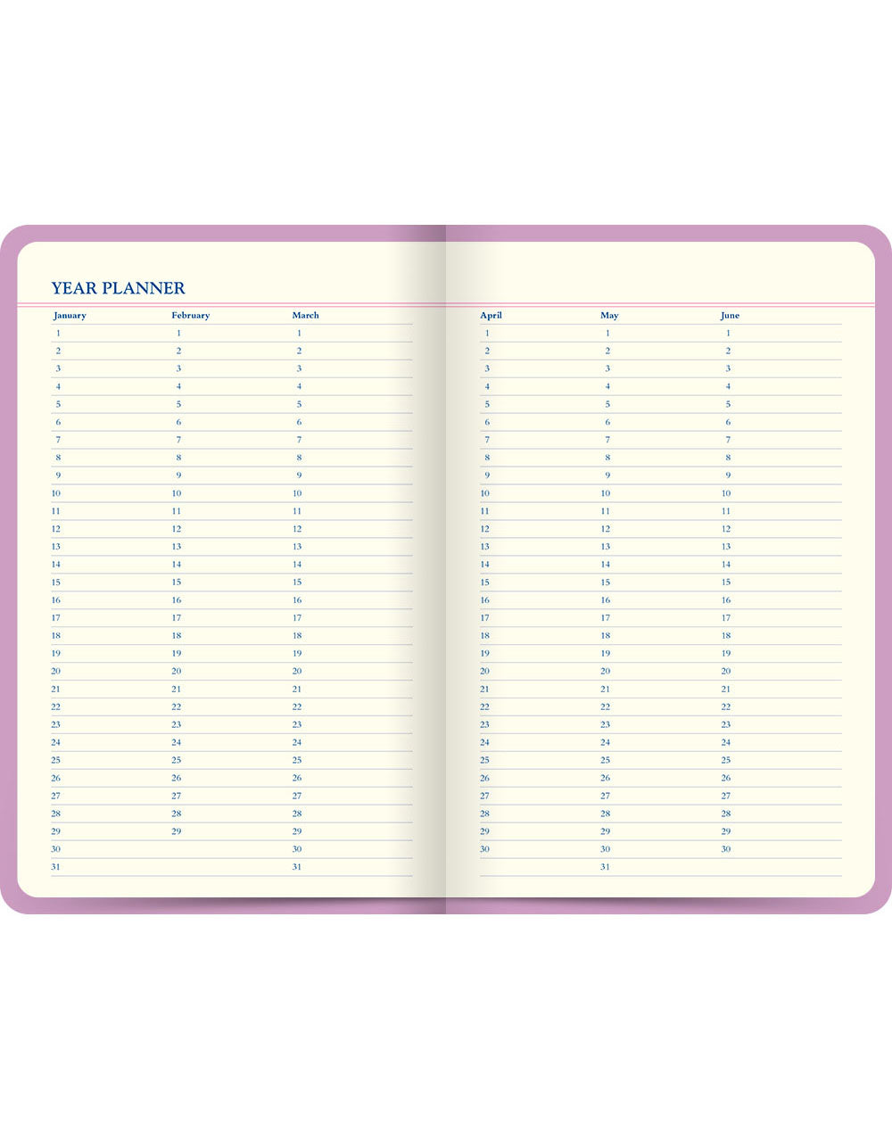 Icon Book Perpetual Diary Pink Year Planner#colour_pink